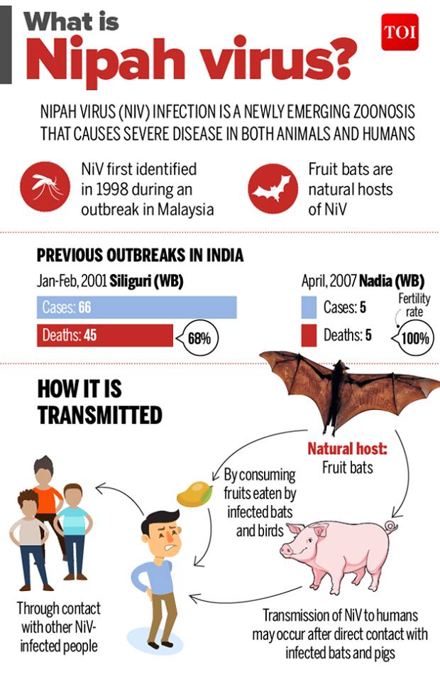 Nipah Virus