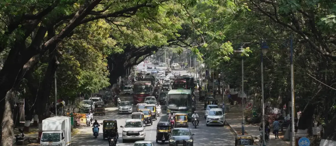 A busy street filled with vehicles and pedestrians under lush green trees