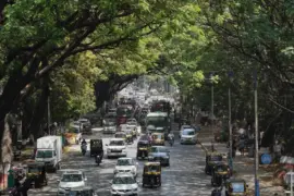 A busy street filled with vehicles and pedestrians under lush green trees