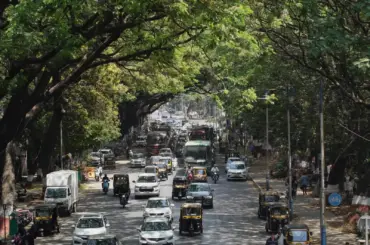 A busy street filled with vehicles and pedestrians under lush green trees