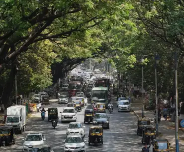 A busy street filled with vehicles and pedestrians under lush green trees
