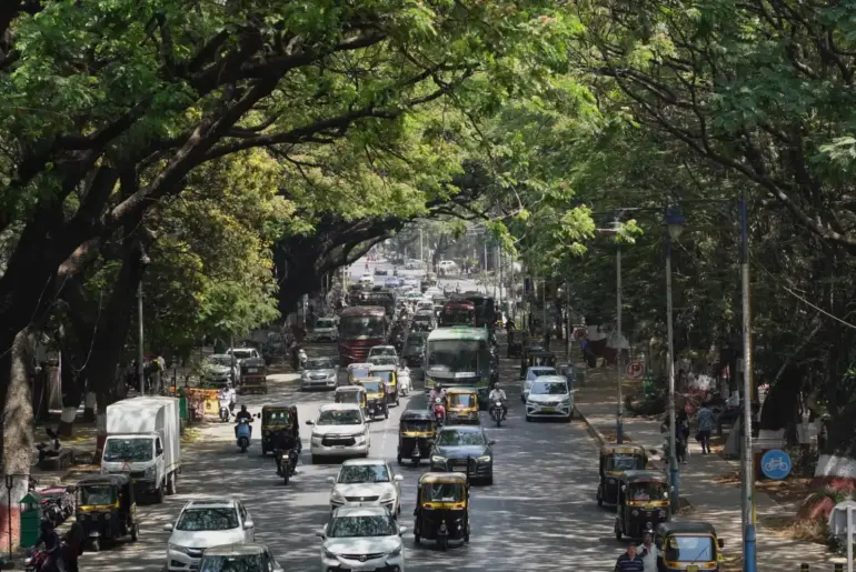 A busy street filled with vehicles and pedestrians under lush green trees