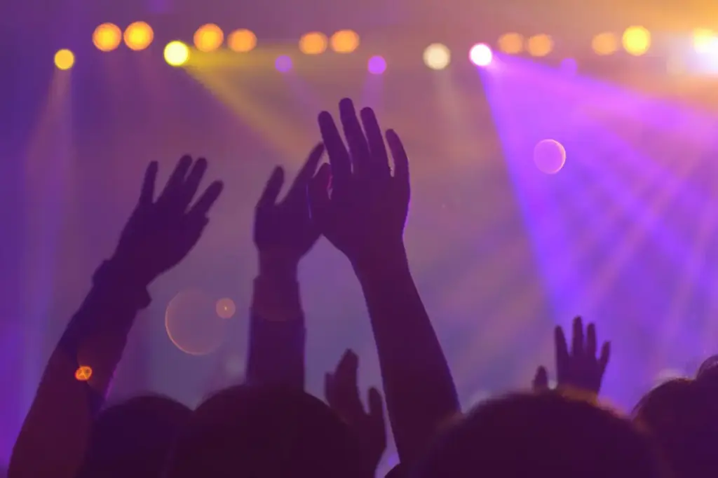 Silhouettes of a lively audience with raised hands at an energetic nightclub event
